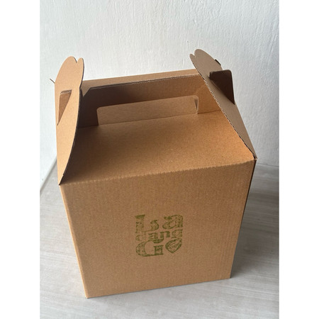 Plant Kit LadangGo | Complete Educational Planting Set for Kids & Beginners