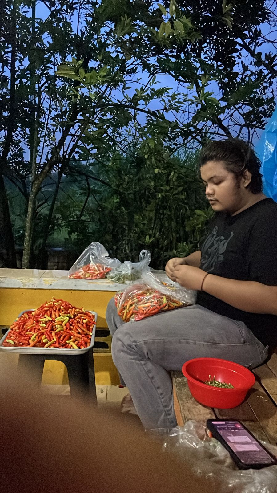 LadangGo operational documentation for average increase in farmer income