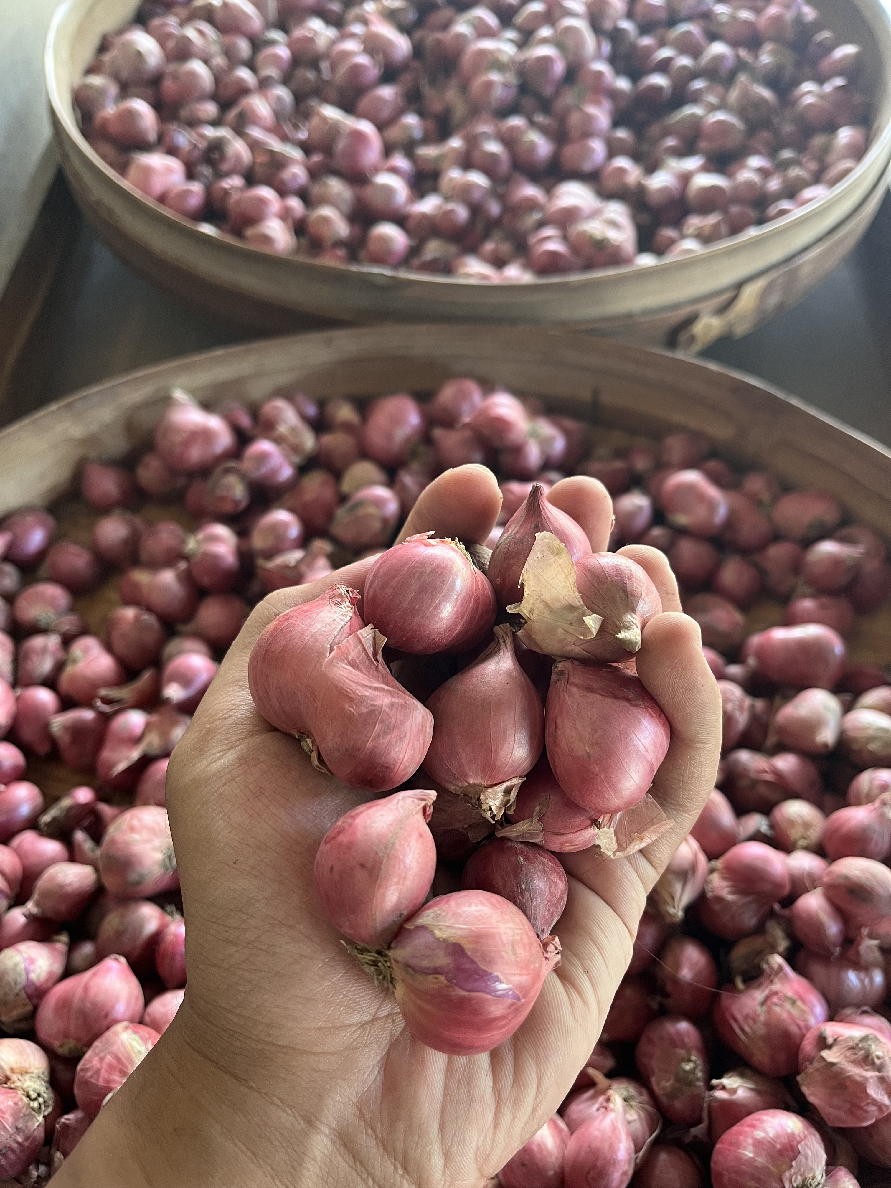 Selection Vegetable_3