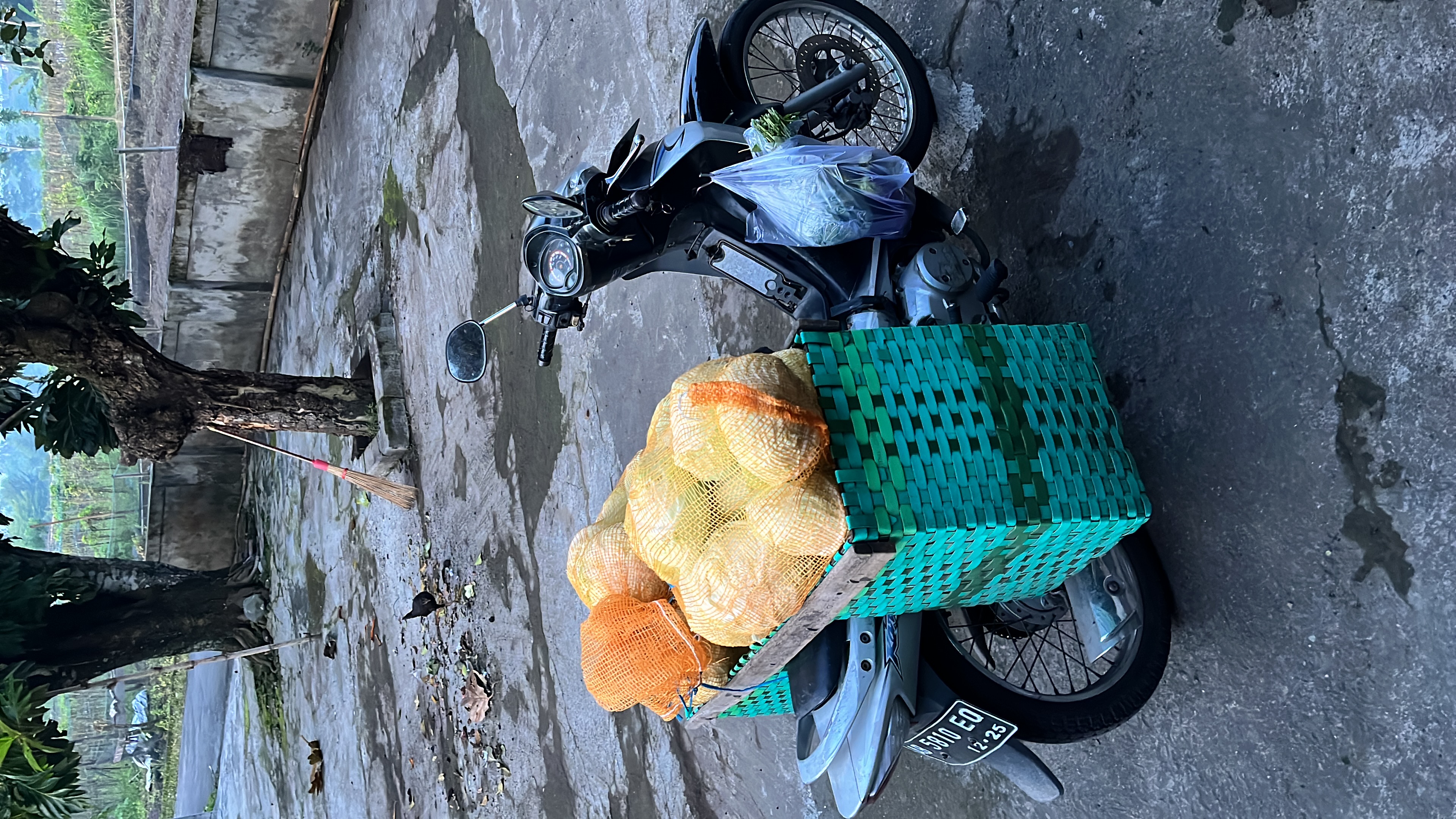 Go To Delivery_1