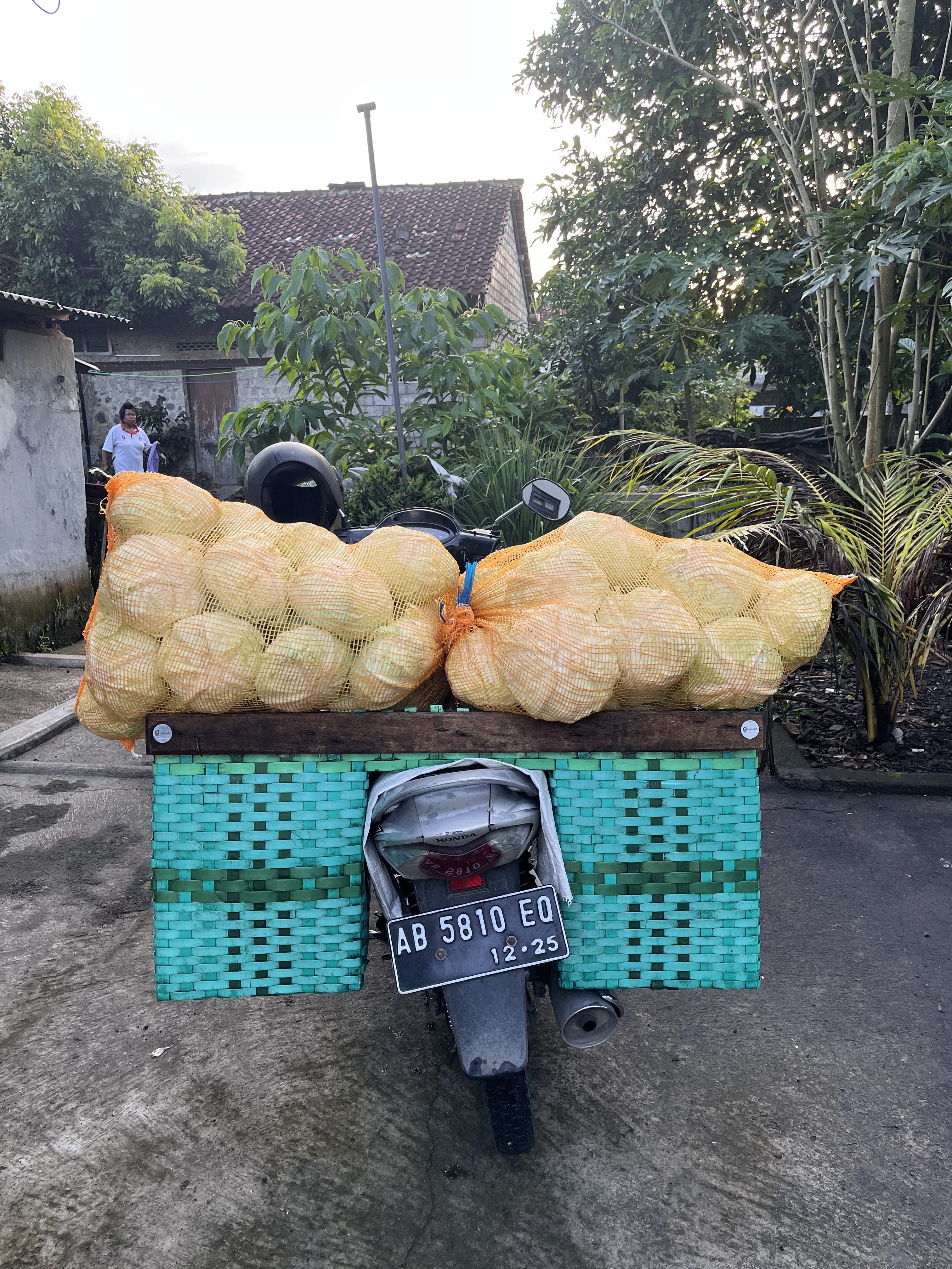 Go To Delivery_2