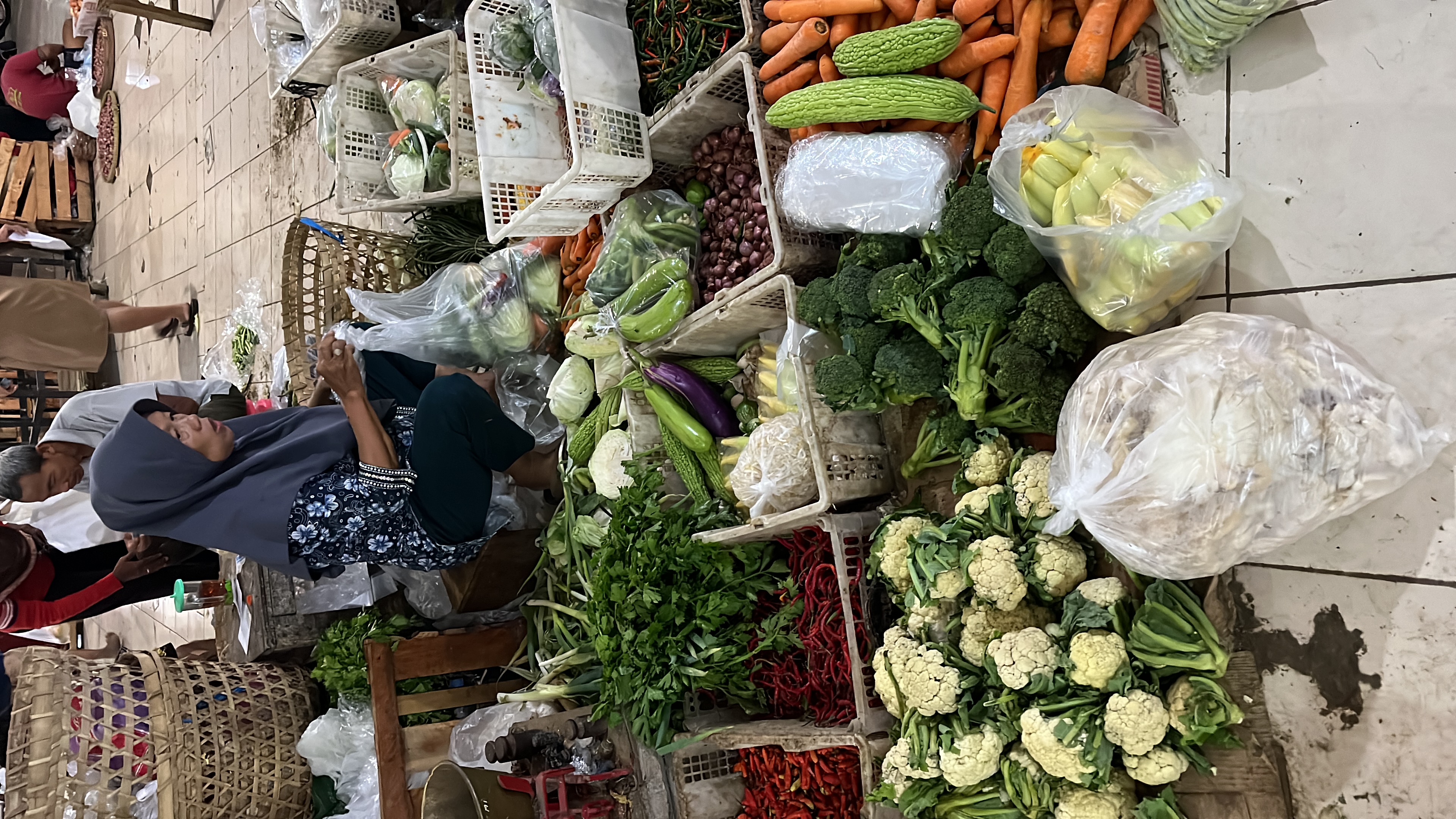 Selection Vegetable_1